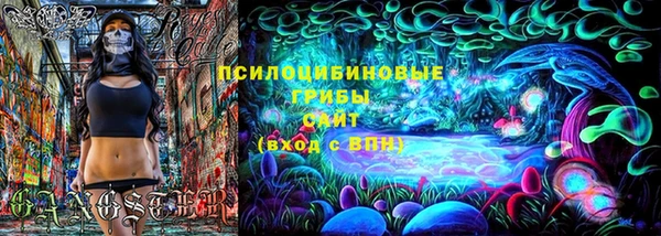 метадон Няндома